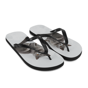 Relaxing British Shorthair Cat Flip Flops