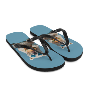 Polar Bear and Burger Flip Flops