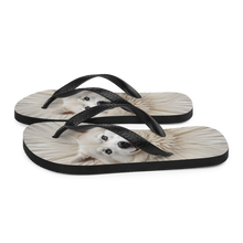 Siberian Husky Flip Flops