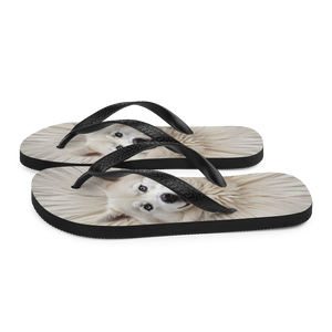 Siberian Husky Flip Flops