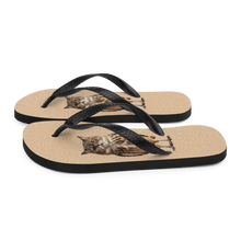 Cat Owl Flip Flops