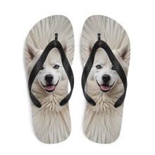 Siberian Husky Flip Flops