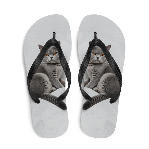 Relaxing British Shorthair Cat Flip Flops