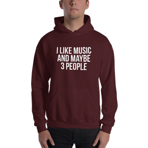 I Like Music and Maybe 3 People Unisex Hoodie