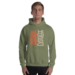 Design Express Typography Unisex Hoodie