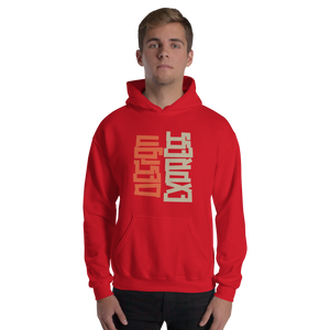 Design Express Typography Unisex Hoodie