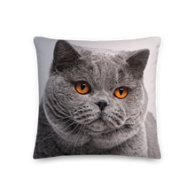 British Shorthair (Cat Lover) Premium Square Pillow by Design Express