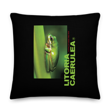 22″×22″ Litoria Caerulia Square Premium Pillow by Design Express