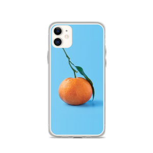 iPhone 11 Orange on Blue iPhone Case by Design Express