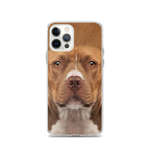 iPhone 12 Pro Staffordshire Bull Terrier Dog iPhone Case by Design Express