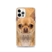 iPhone 12 Pro Chihuahua Dog iPhone Case by Design Express