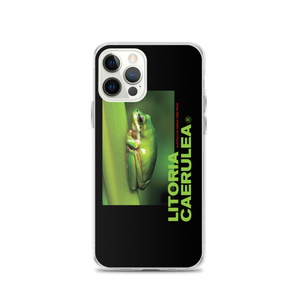 iPhone 12 Pro Litoria Caerulia iPhone Case by Design Express