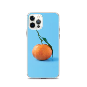 iPhone 12 Pro Orange on Blue iPhone Case by Design Express