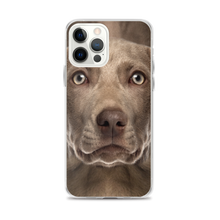 iPhone 12 Pro Max Weimaraner Dog iPhone Case by Design Express