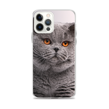 iPhone 12 Pro Max British Shorthair (Cat Lover) iPhone Case by Design Express