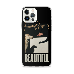 iPhone 12 Pro Max Friendship is Beautiful iPhone Case by Design Express