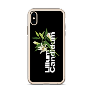 Lilium Candidum iPhone Case by Design Express