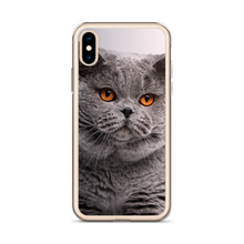 British Shorthair (Cat Lover) iPhone Case by Design Express