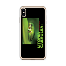 Litoria Caerulia iPhone Case by Design Express