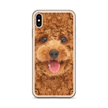 Poodle Dog iPhone Case by Design Express