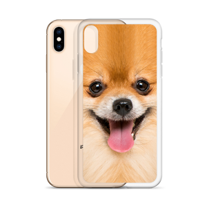 Pomeranian Dog iPhone Case by Design Express