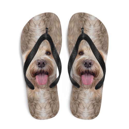 Labradoodle Dog Flip-Flops by Design Express