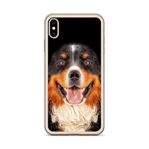 Bernese Mountain Dog iPhone Case by Design Express