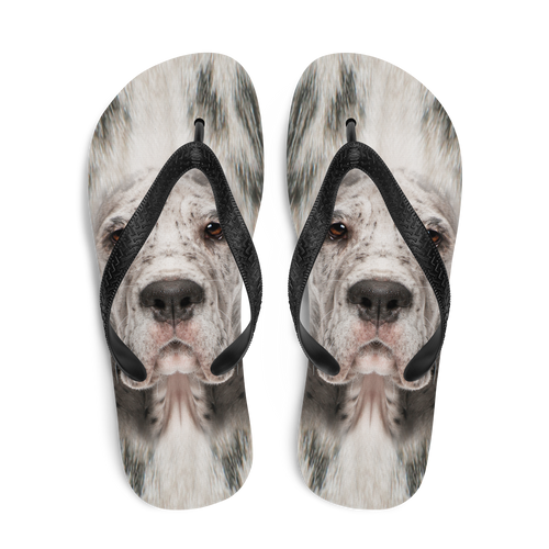 Great Dane Dog Flip-Flops by Design Express