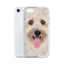 Bichon Havanese Dog iPhone Case by Design Express