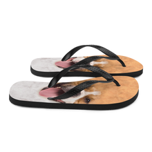 Pit Bull Dog Flip-Flops by Design Express