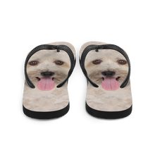 Bichon Havanese Dog Flip-Flops by Design Express