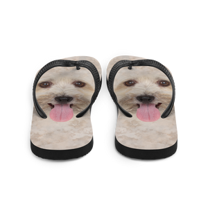 Bichon Havanese Dog Flip-Flops by Design Express