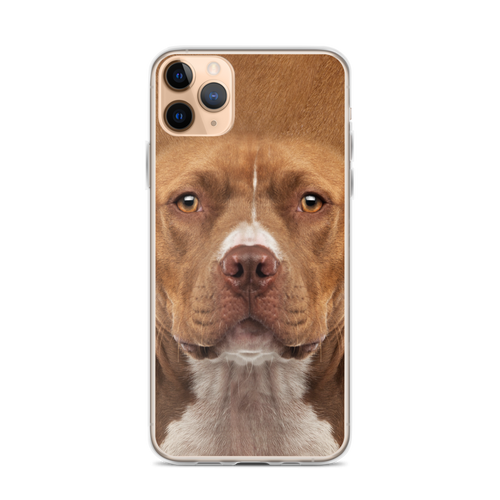 iPhone 11 Pro Max Staffordshire Bull Terrier Dog iPhone Case by Design Express