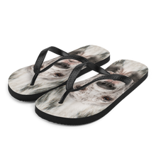 S Great Dane Dog Flip-Flops by Design Express