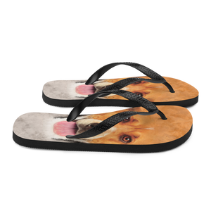 Beagle Dog Flip-Flops by Design Express