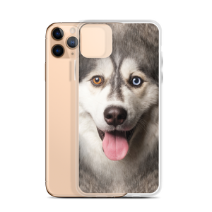 Husky Dog iPhone Case by Design Express