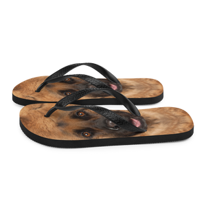 German Shepherd Dog Flip-Flops by Design Express