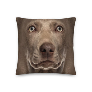 18×18 Weimaraner Dog Premium Pillow by Design Express