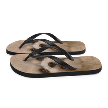 Shih Tzu Dog Flip-Flops by Design Express