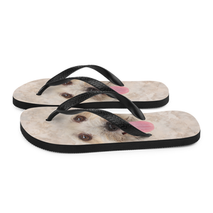 Bichon Havanese Dog Flip-Flops by Design Express