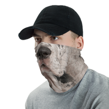 Great Dane Dog Neck Gaiter Masks by Design Express