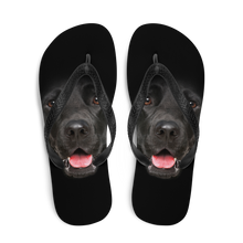 Labrador Dog Flip-Flops by Design Express