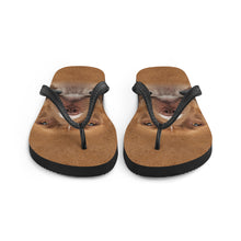 Staffordshire Bull Terrier Dog Flip-Flops by Design Express