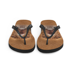 Staffordshire Bull Terrier Dog Flip-Flops by Design Express