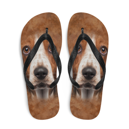 Basset Hound Dog Flip-Flops by Design Express