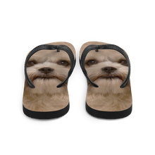 Shih Tzu Dog Flip-Flops by Design Express