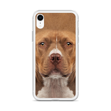 Staffordshire Bull Terrier Dog iPhone Case by Design Express