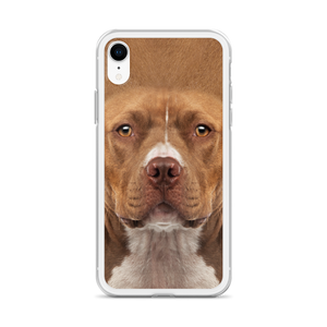 Staffordshire Bull Terrier Dog iPhone Case by Design Express