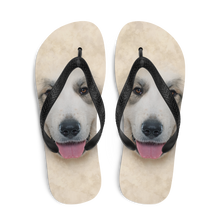 Great Pyrenees Dog Flip-Flops by Design Express