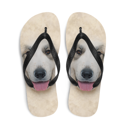 Great Pyrenees Dog Flip-Flops by Design Express